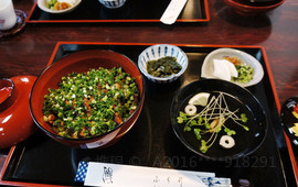 Fujiiunagi