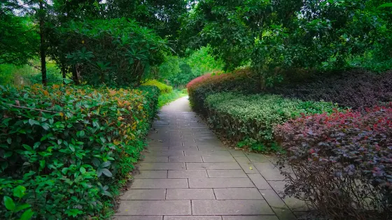 良渚文化村-白鷺公園
