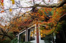 孤山-杭州-我是厂长