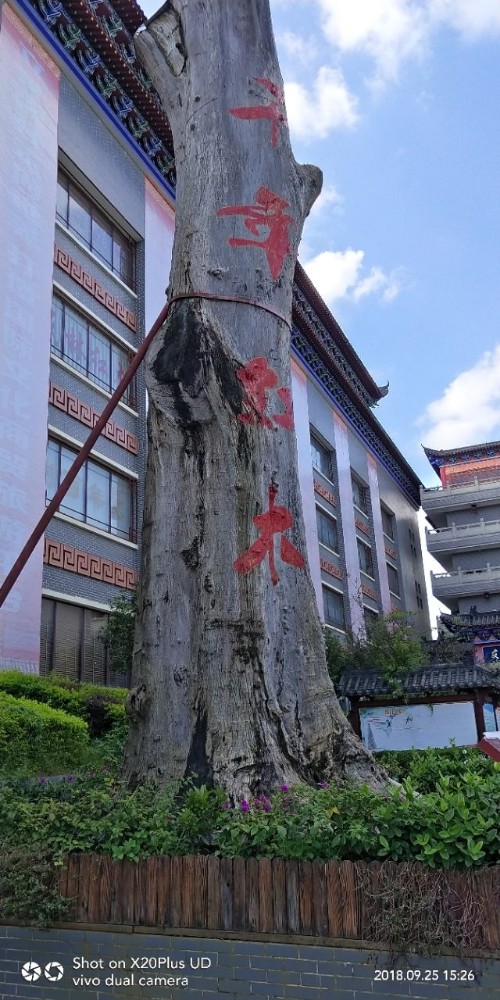 自驾游凭祥市落脚，感受中国第一红木家具城文化