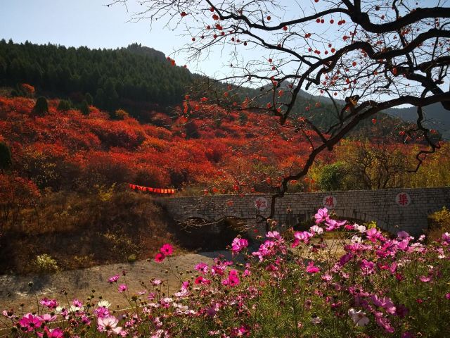 Guanhushan Scenic Area