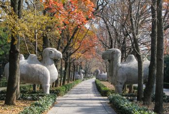 【2-10人精品小团】明孝陵丨含耳麦丨文史大咖精讲2H【10人内精品小团，人数少，不拥挤，纯玩无自费】