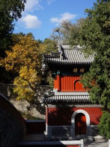 香山公园-北京-YoYo_8K2O3P1Y