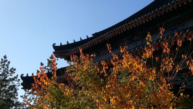 藥泉山