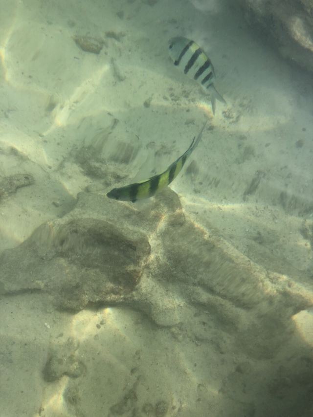 Koh Khai Nok