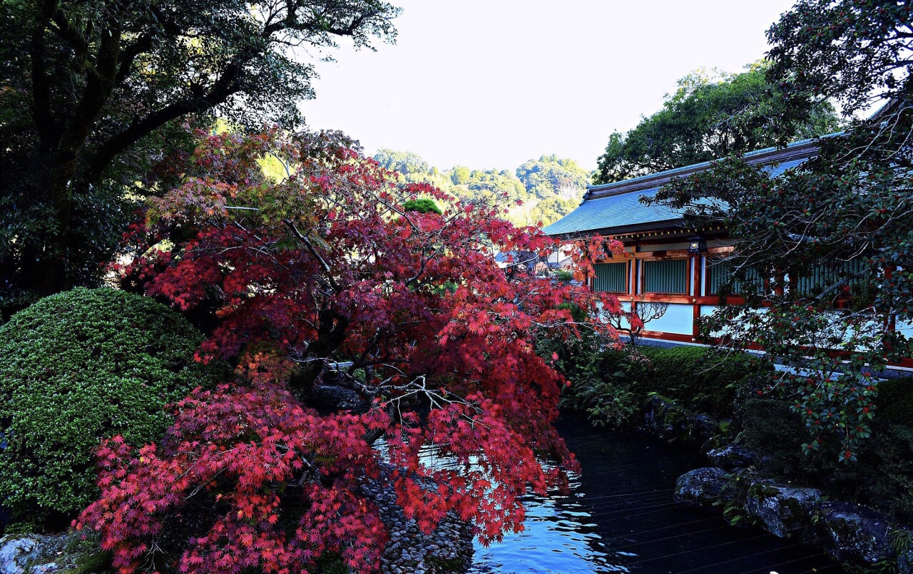 神社，是了解日本文化的窗口