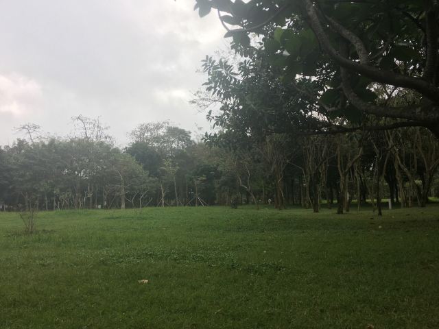 Jinniuling Park