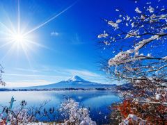 最强富士山游玩体验4日游