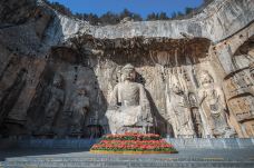 卢舍那大佛-洛阳-尊敬的会员