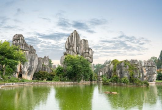 昆明石林景区+九乡一日游【纯玩无购物+含九乡索道+优选导游】【[缤纷景点]奇特石林+九乡溶洞、夏季避暑好去处】