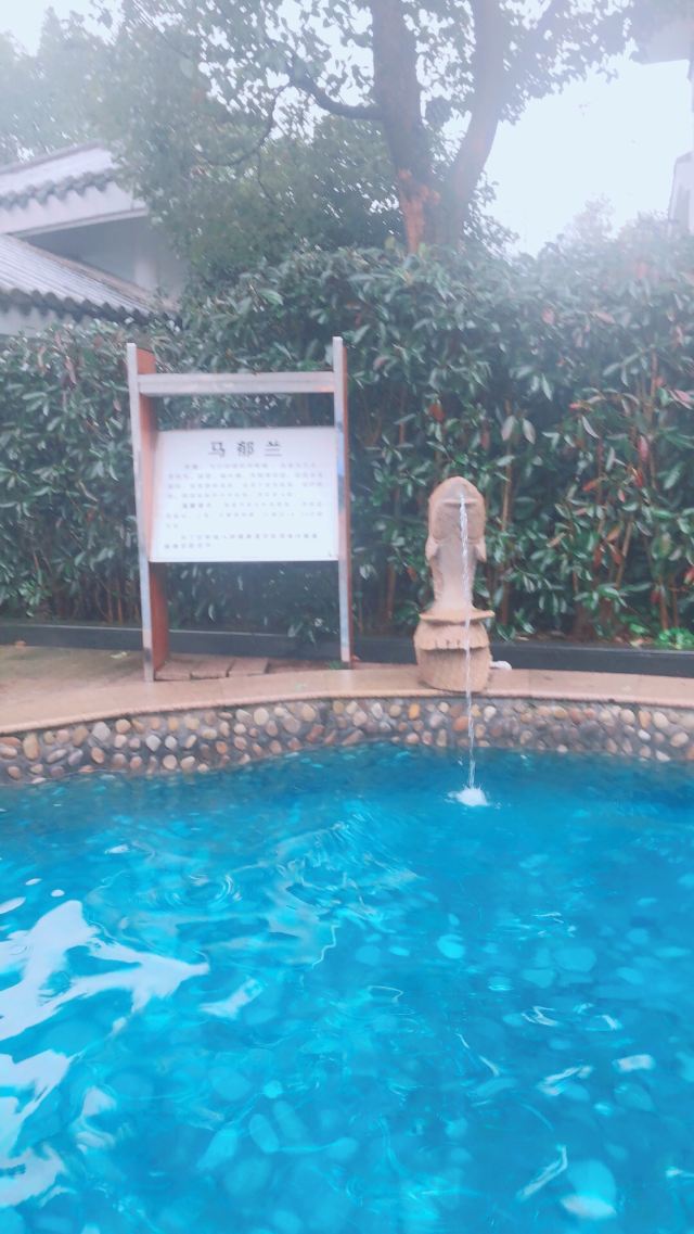 밍 온천