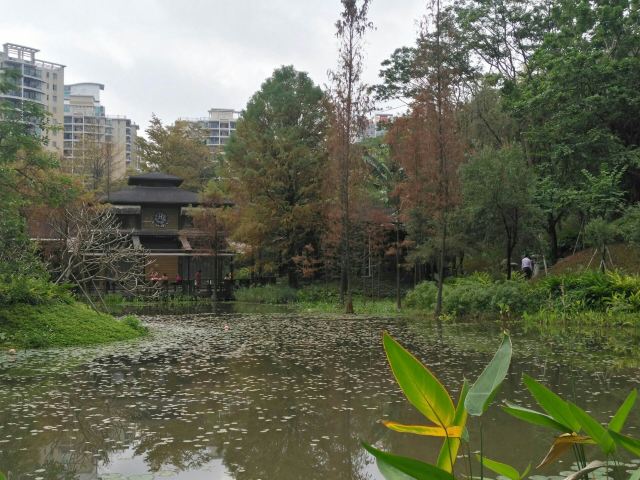 Zhujiang Park