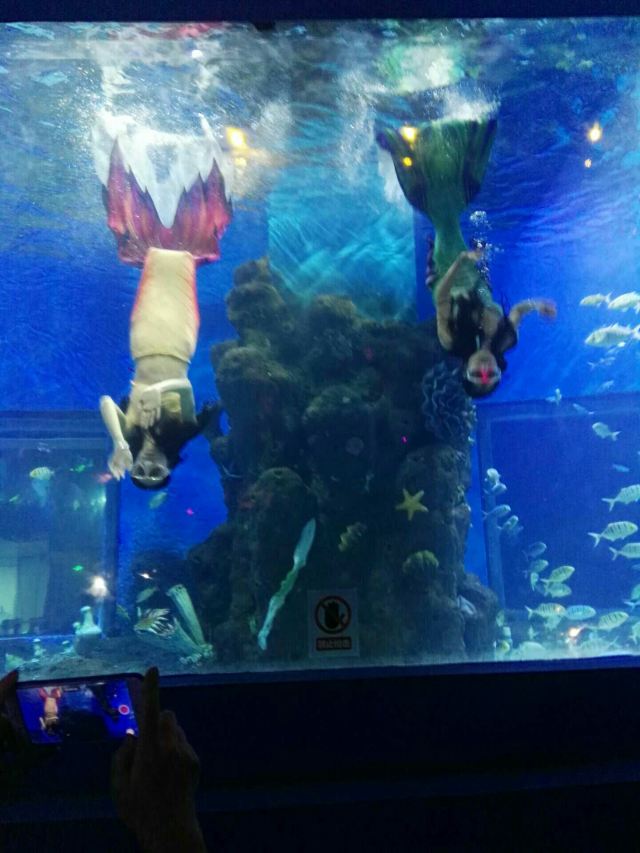 Kunming Huadu Ocean World