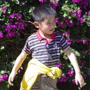 不爱说也不爱动