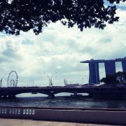 看上去很努力的学渣