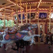 远郭春芳伴萍生