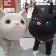 徐大小姐的太阳