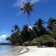 看到自己都恼火