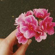 戴维丽莎今天复合了吗