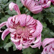 遇见不一样的自己