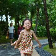 人间天使艾草香