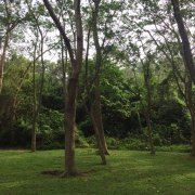 周某某来自远方