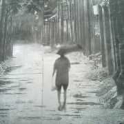 这段繁华那段锦