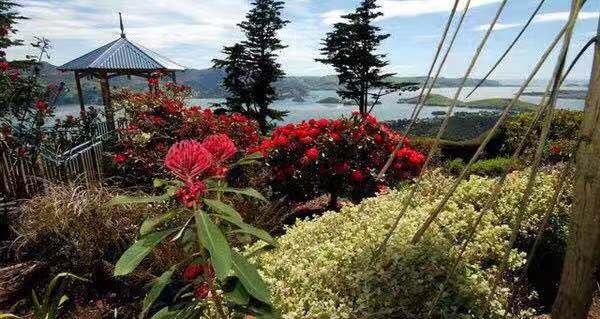 Larnach Castle