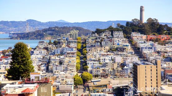 Telegraph Hill