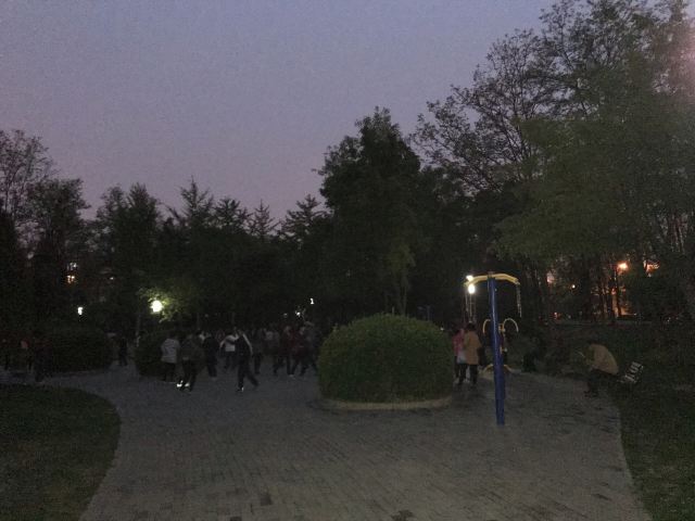 阳光星期八公园旅行图片 11