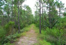 Calusa Trail景点图片