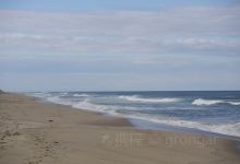 Lecount Hollow Beach景点图片