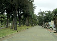 Parque Olaya Herrera-佩雷拉