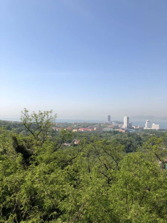 太平山旅行图片 2
