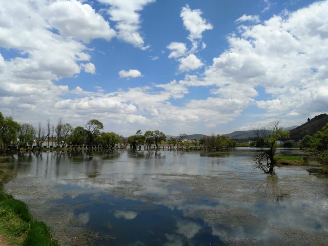 黄龙潭公园旅行图片 1