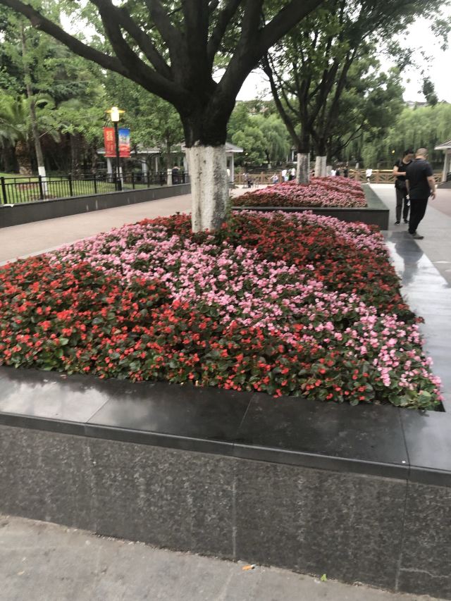 岭南公园旅行图片 2