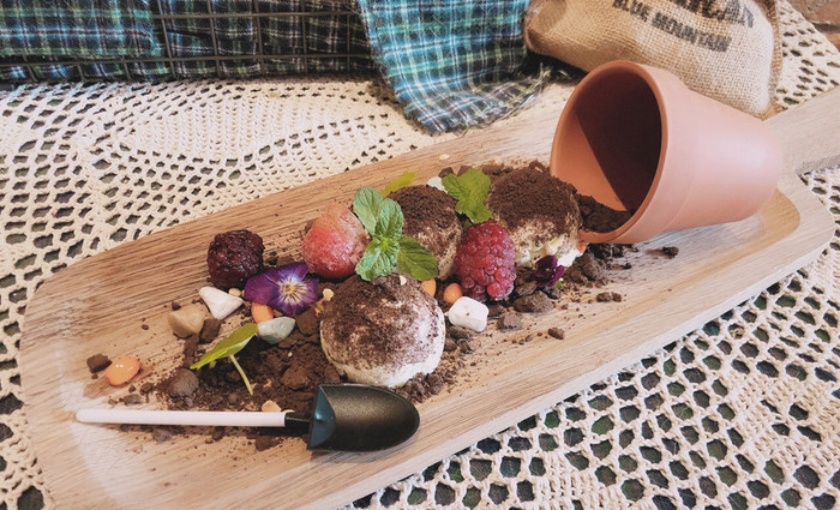 猫掌柜(宏大店)餐厅图片