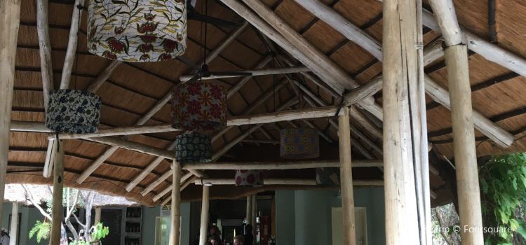 The Rainforest Cafe Reviews Food Drinks In Matabeleland North