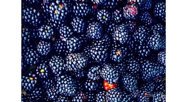 Smith Berry Barn Travel Guidebook Must Visit Attractions In