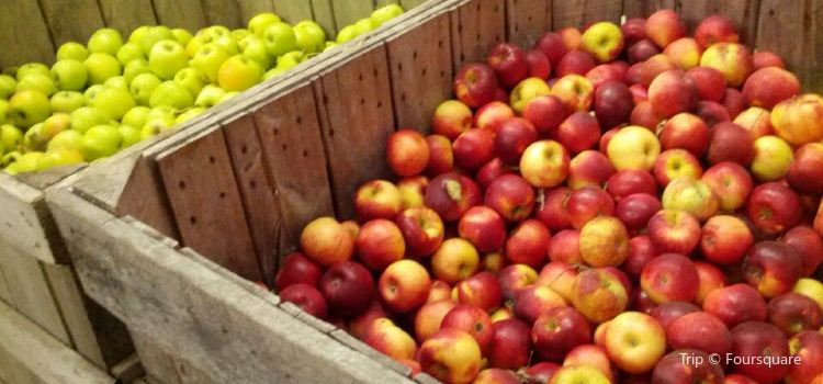 Schoharie Valley Farms The Carrot Barn Travel Guidebook Must