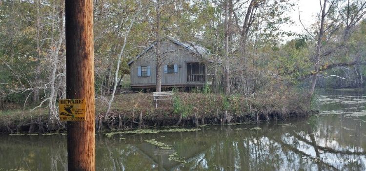 Lake Fausse Pointe State Park Travel Guidebook Must Visit