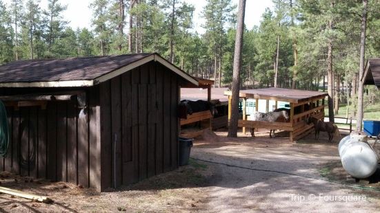 Bismark Lake Campground Travel Guidebook Must Visit Attractions