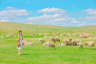 呼伦贝尔大草原——如果风知道，如果云知道【呼伦贝尔旅游攻略】