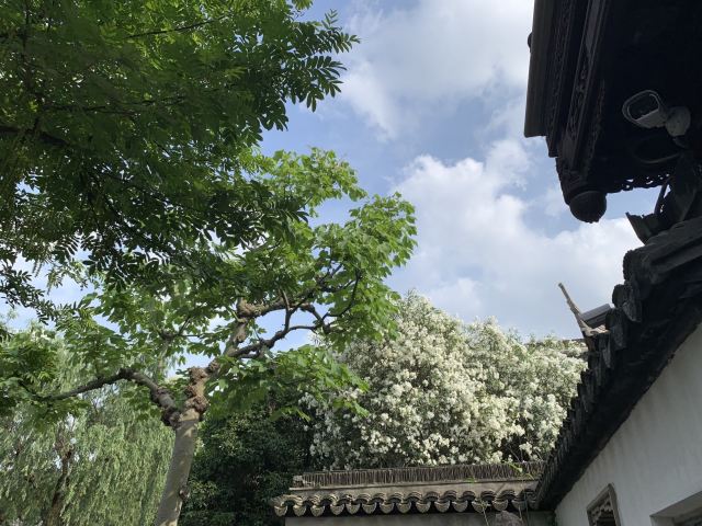 Yu Garden