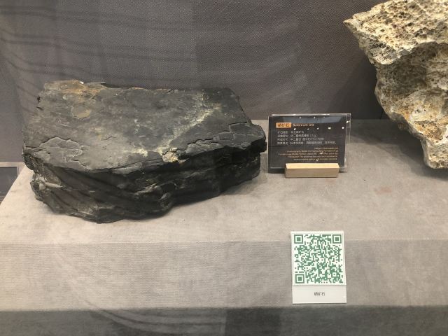 恩施州文化中心景区旅行图片 13