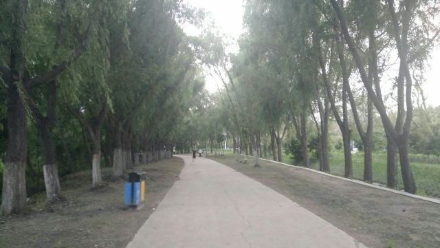 东湖公园旅行图片 3