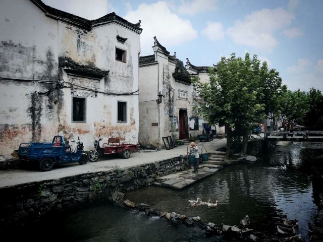 芹川村