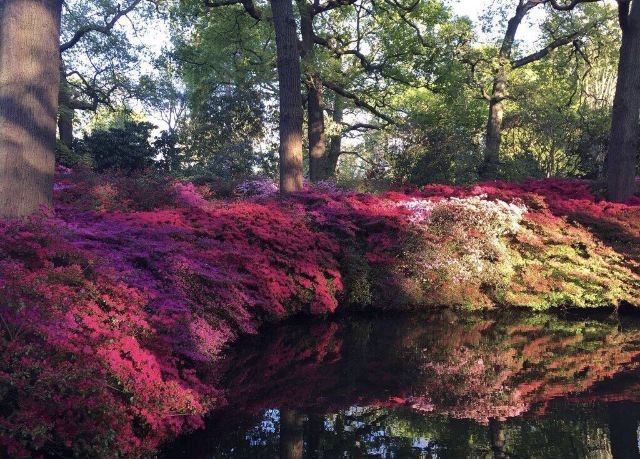 Botanischer Garten Attractions M32 5623 Marburg Biedenkopf