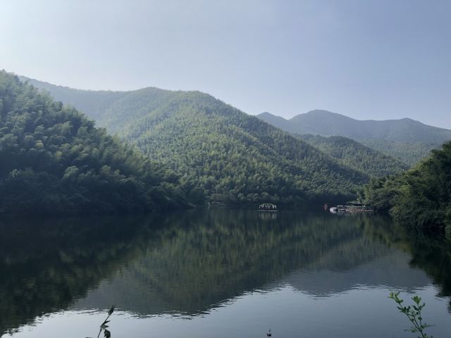 Nanshan Bamboo Sea