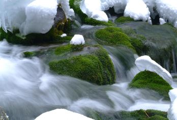 天山天池半日游【上门接送2-8人团/纯玩无购物】【1、五A景区，避开早高峰堵车，省时都留在景区。】